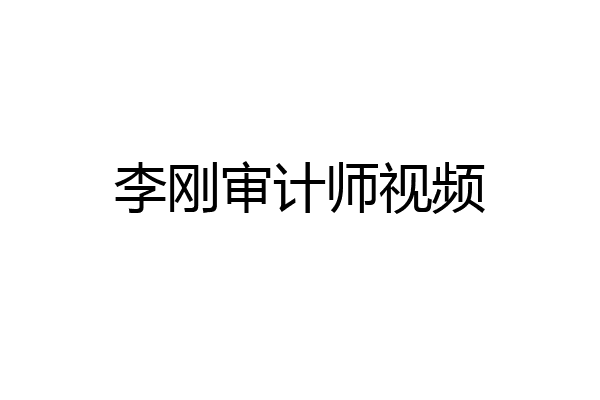 李刚审计师视频