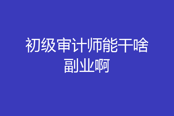 初级审计师能干啥副业啊