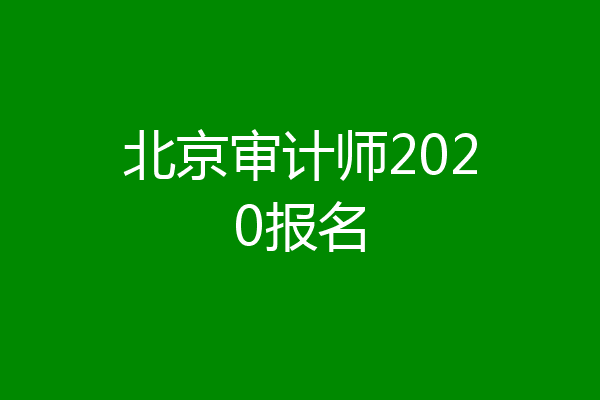 北京审计师2020报名