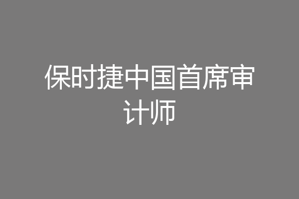 保时捷中国首席审计师