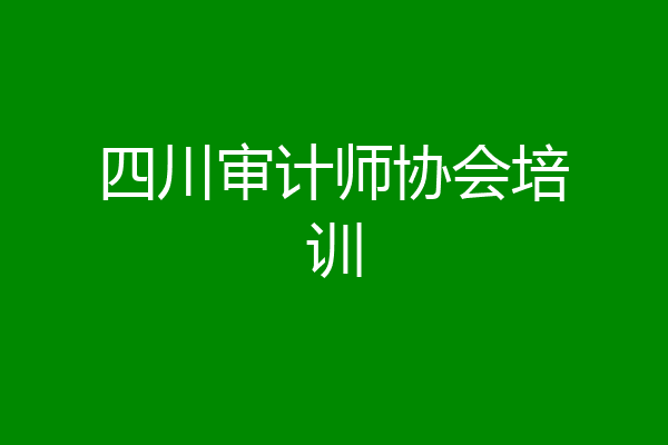 四川审计师协会培训