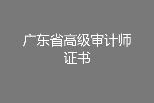 广东省高级审计师证书