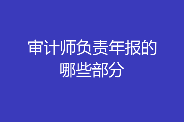 审计师负责年报的哪些部分