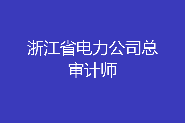 浙江省电力公司总审计师