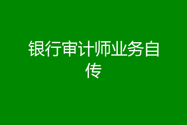 银行审计师业务自传