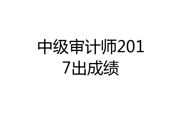 中级审计师2017出成绩