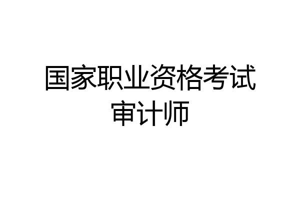 国家职业资格考试审计师