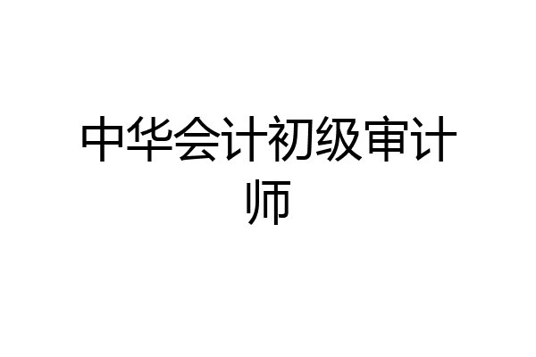 中华会计初级审计师
