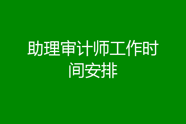 助理审计师工作时间安排
