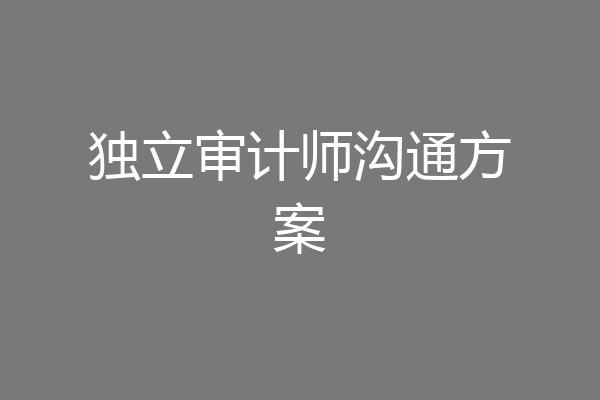 独立审计师沟通方案