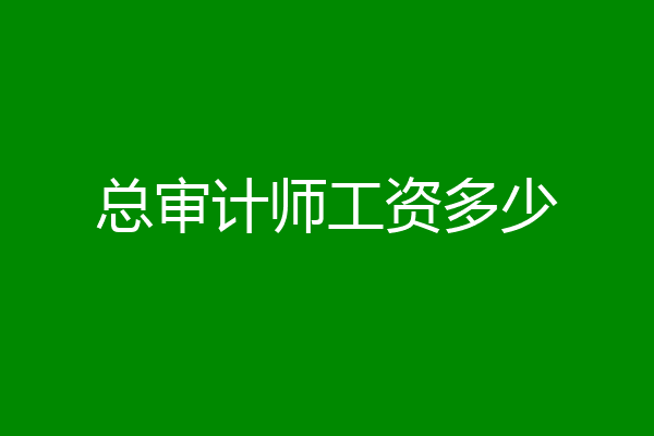 总审计师工资多少