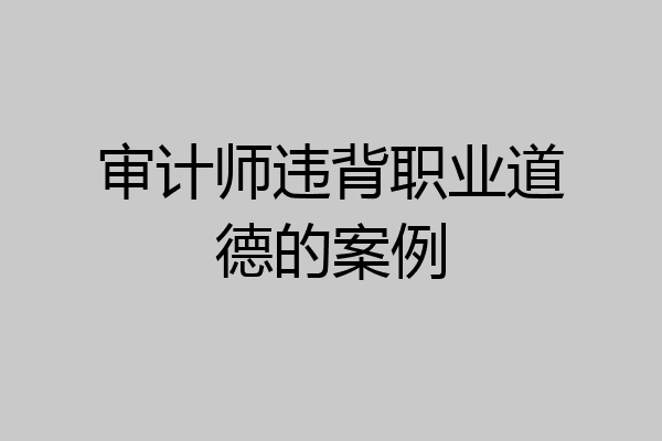 审计师违背职业道德的案例