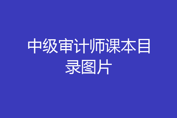 中级审计师课本目录图片