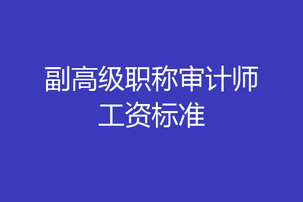 副高级职称审计师工资标准