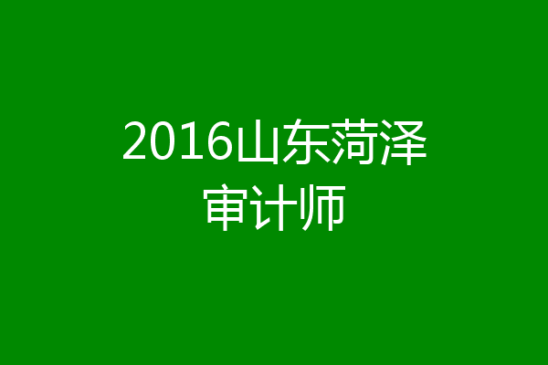 2016山东菏泽审计师
