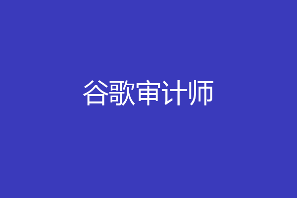 谷歌审计师