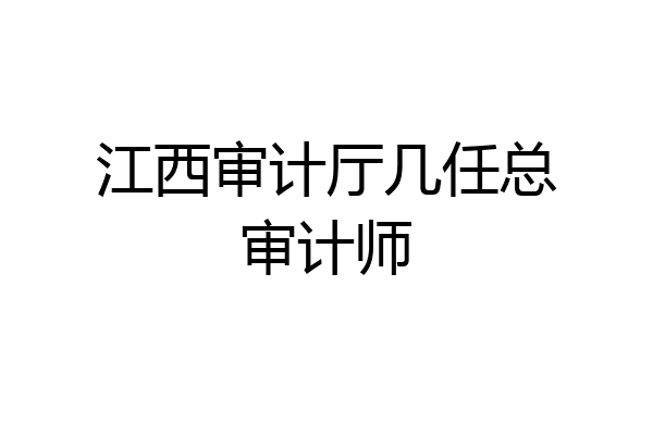 江西审计厅几任总审计师