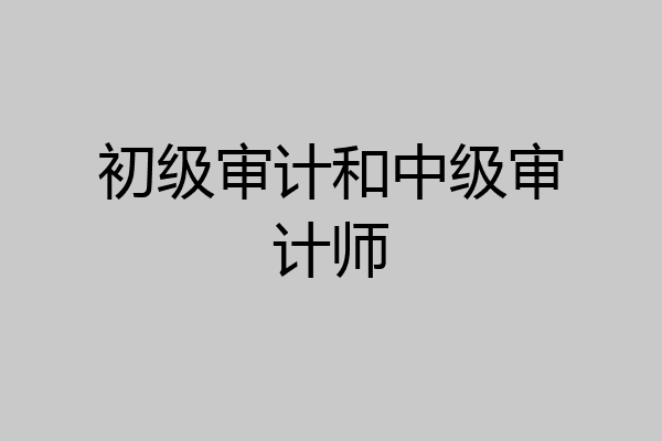 初级审计和中级审计师