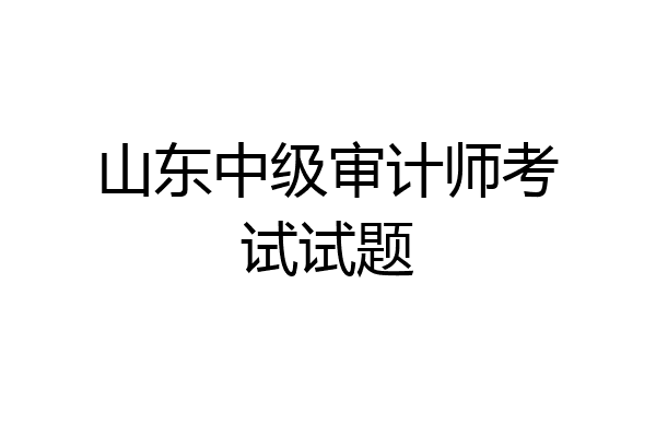 山东中级审计师考试试题
