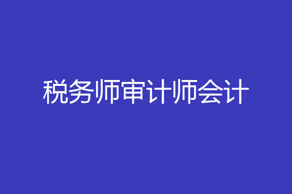 税务师审计师会计