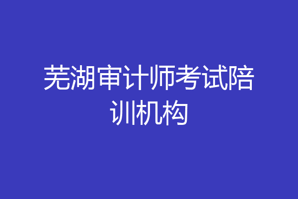 芜湖审计师考试陪训机构