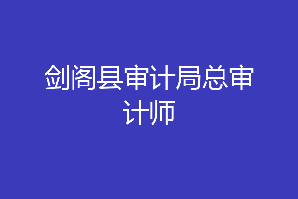 剑阁县审计局总审计师