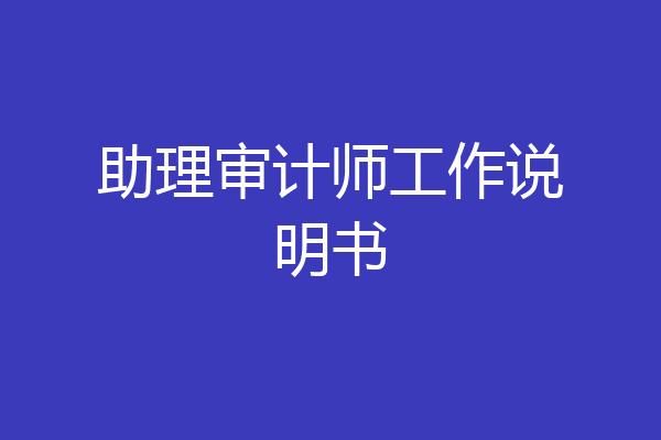 助理审计师工作说明书