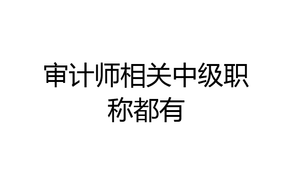 审计师相关中级职称都有