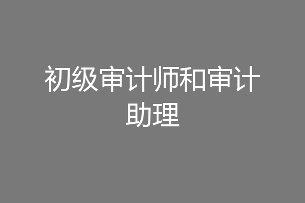 初级审计师和审计助理