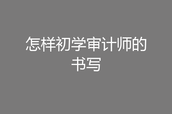 怎样初学审计师的书写