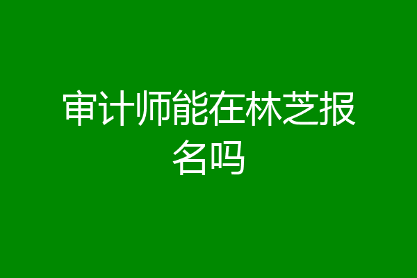 审计师能在林芝报名吗
