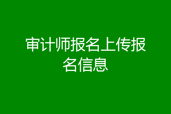 审计师报名上传报名信息