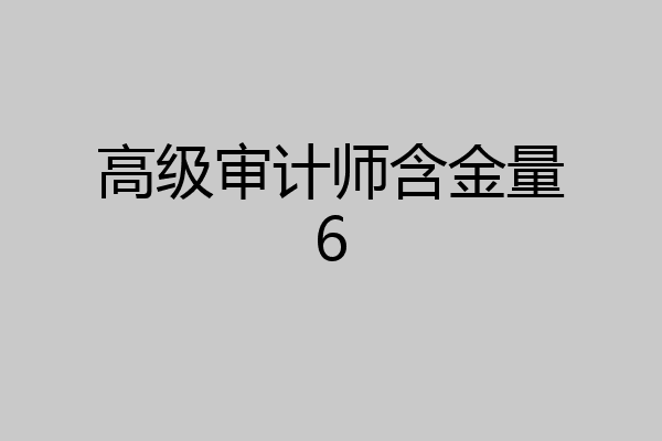 高级审计师含金量6