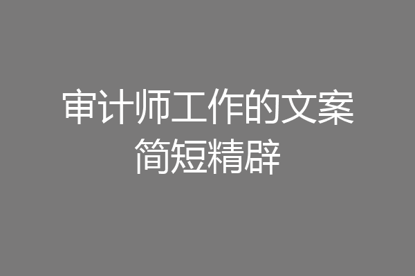 审计师工作的文案简短精辟