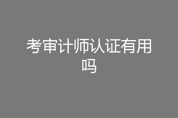 考审计师认证有用吗