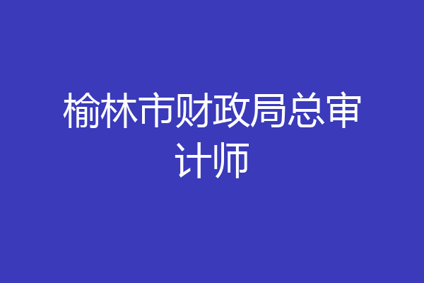 榆林市财政局总审计师