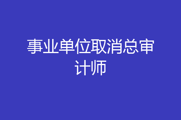 事业单位取消总审计师