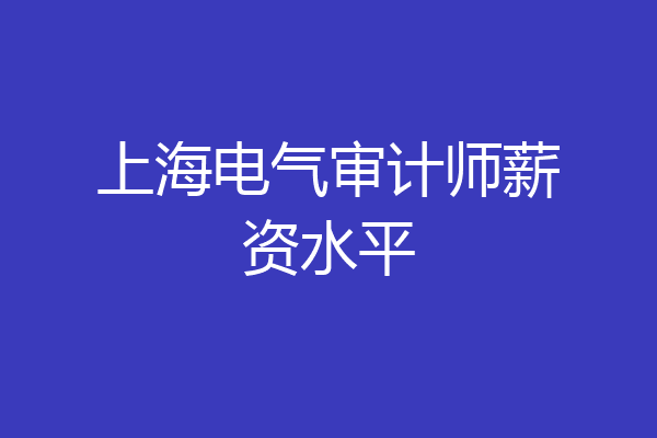 上海电气审计师薪资水平