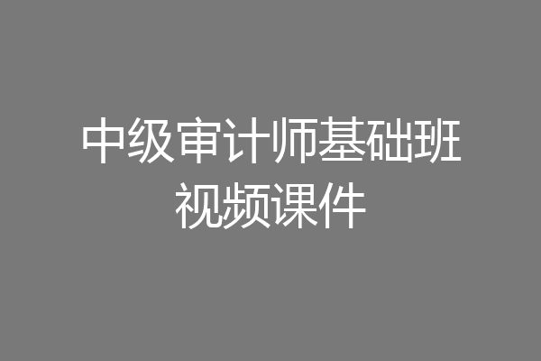 中级审计师基础班视频课件