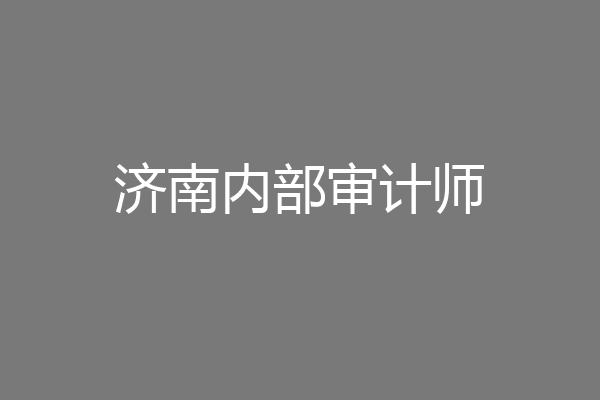 济南内部审计师