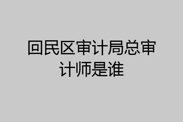 回民区审计局总审计师是谁