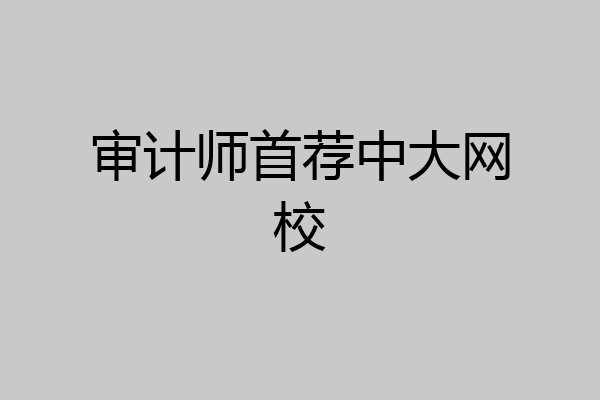 审计师首荐中大网校