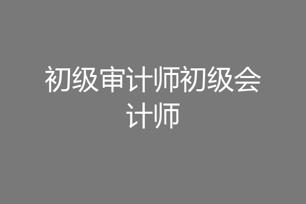 初级审计师初级会计师
