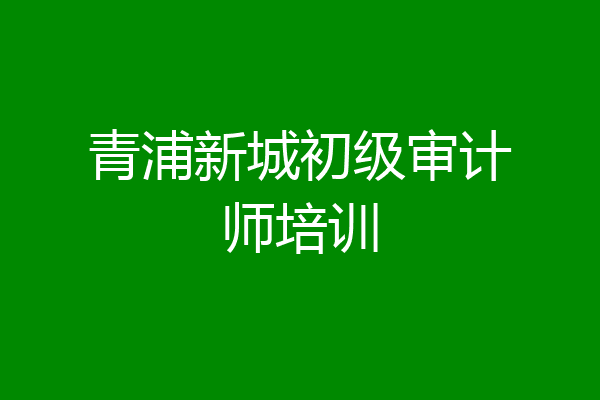 青浦新城初级审计师培训