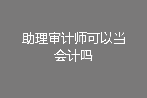 助理审计师可以当会计吗