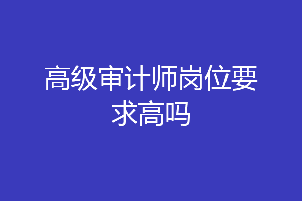 高级审计师岗位要求高吗