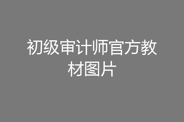 初级审计师官方教材图片
