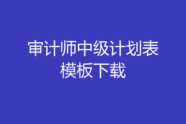 审计师中级计划表模板下载