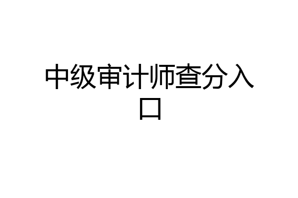 中级审计师查分入口