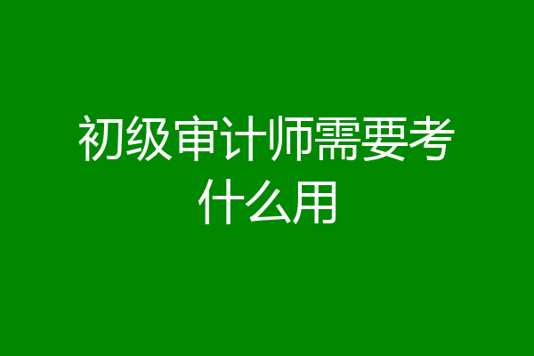 初级审计师需要考什么用